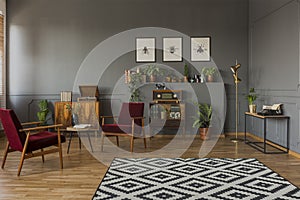 Patterned carpet in grey living room interior with dark red wood