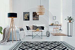 Patterned carpet and lamp in white living room interior with posters above sofa with pillows. Real photo