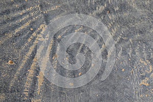 Patterned cement flooring with long-term use