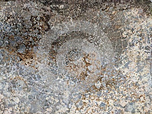 Patterned cement flooring with long-term use