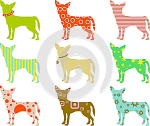 Patterned chihuahuas photo