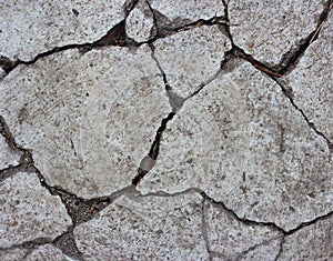 Patterned crack concrete.