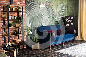 Patterned cushions on sofa next to wooden table and plant in dark apartment interior. Real photo