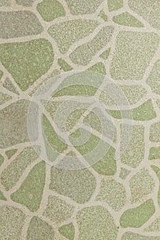 Patterned marble floor