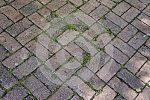 Patterned paving bricks in Brumadinho