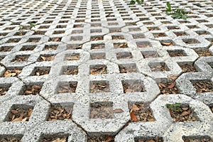 patterned paving tiles with cement brick floor