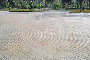 Patterned paving tiles, cement brick floor in the park