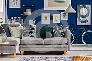 Patterned pillows on comfortable grey sofa in classy living room interior