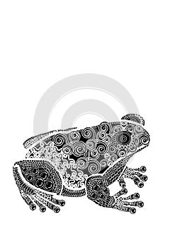 Patterned toad