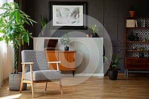 Patterned wooden armchair next to plant in grey living room interior with poster. Real photo