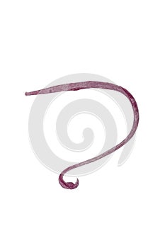 Study of Parasitic and Anatomical pathology in laboratory.