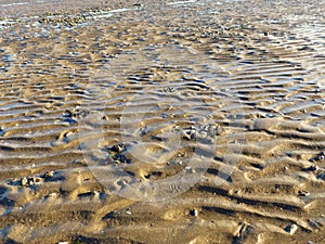 Patterns on the Beach. 3