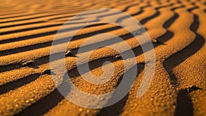 Patterns create a rhythmic texture across the surface emphasizing