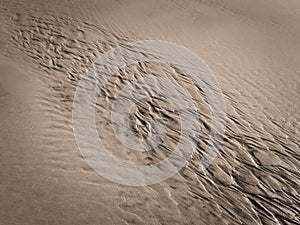 Patterns created ÃÂ¾n the sand by waves and wind