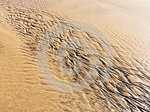 Patterns created ÃÂ¾n the sand by waves and wind