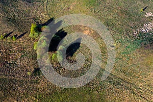 Patterns in the farmland fields at spring