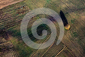 Patterns in the farmland fields at spring
