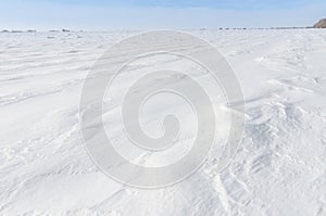 Patterns on a fresh snow texture on a field