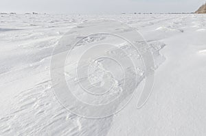 Patterns on a fresh snow texture on a field