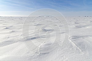 Patterns on a fresh snow texture on a field