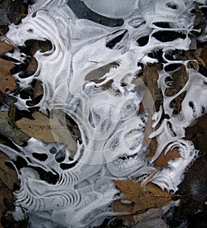 Patterns in the Ice