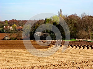 Patterns in landscaping