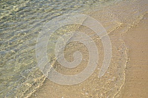 Patterns of movement of water in the pool.