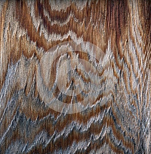 Patterns on old cedar