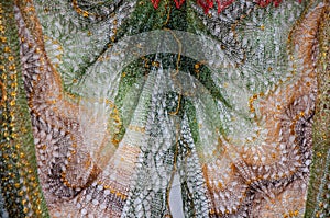 Patterns of the Orenburg downy shawl