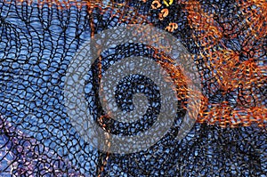 Patterns of the Orenburg downy shawl