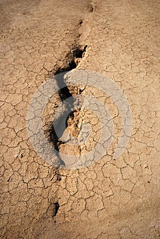 Patterns in parched ground photo