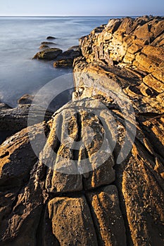 patterns in the rocks along coastline at bouddi national park in australia photo