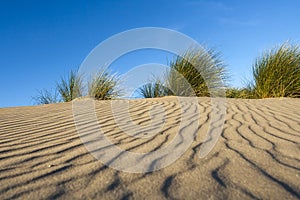 Patterns in sand