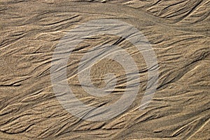 Patterns in the Sand