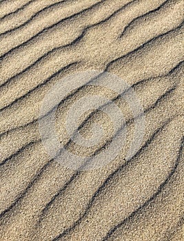 Patterns In The Sand