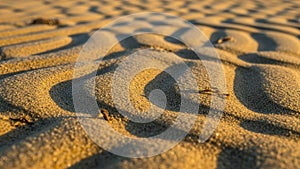 Patterns of sand create a natural wavy texture in this desert