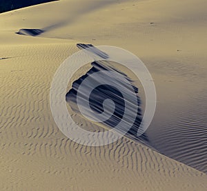 Patterns in sand dunes shaped by wind