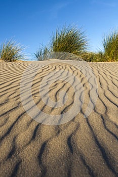 Patterns in sand photo