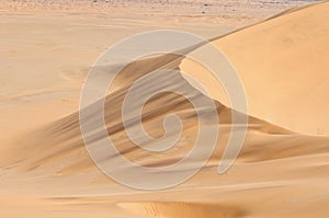 Patterns in the sand of the Namib 3