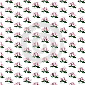 Patterns Seamless Roses red and green leaves,  Illustration On the white background, Design for Wedding, love paper, gift