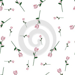 Patterns Seamless Roses red and green leaves spread,  Illustration On the white background, Design for Wedding, love paper,