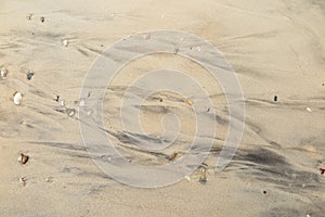 Patterns Texture of sand on the beach