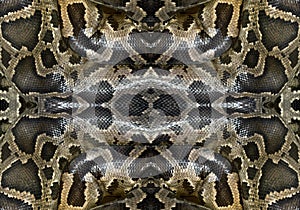 Patterns and textures of Python.