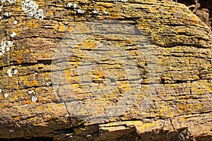 Patterns and textures in rock formations along the riverbanks of the Derwent river Hobart