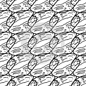 Patterns Walnut1 Hand drawn doodle style Vector