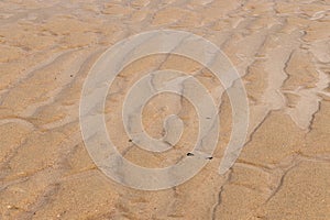 Patterns in the sand in Belgium