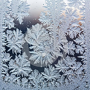 Patterns on a window create a natural artwork resembling delicate