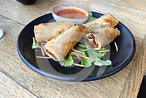 Patties rolls of dough stuffed with meat. Japanese or Chinese appetizer