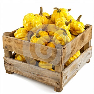 Pattypan squashes in wooden crate isolated, yellow shriveled pumpkins, decorative zucchini on white photo