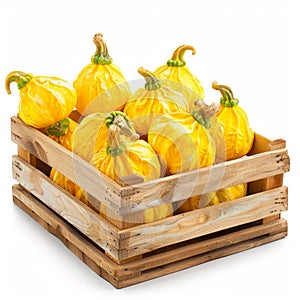 Pattypan squashes in wooden crate isolated, yellow shriveled pumpkins, decorative zucchini on white photo